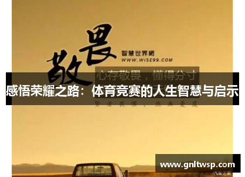 感悟荣耀之路：体育竞赛的人生智慧与启示