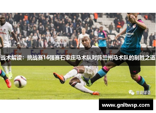 战术解读：挑战赛16强赛石家庄马术队对阵兰州马术队的制胜之道