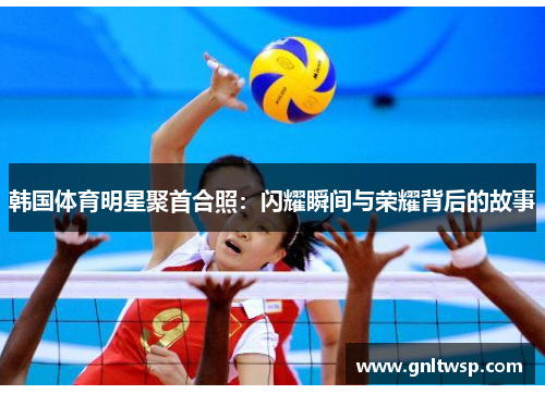 韩国体育明星聚首合照：闪耀瞬间与荣耀背后的故事